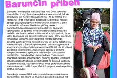 Zvětšit náhled